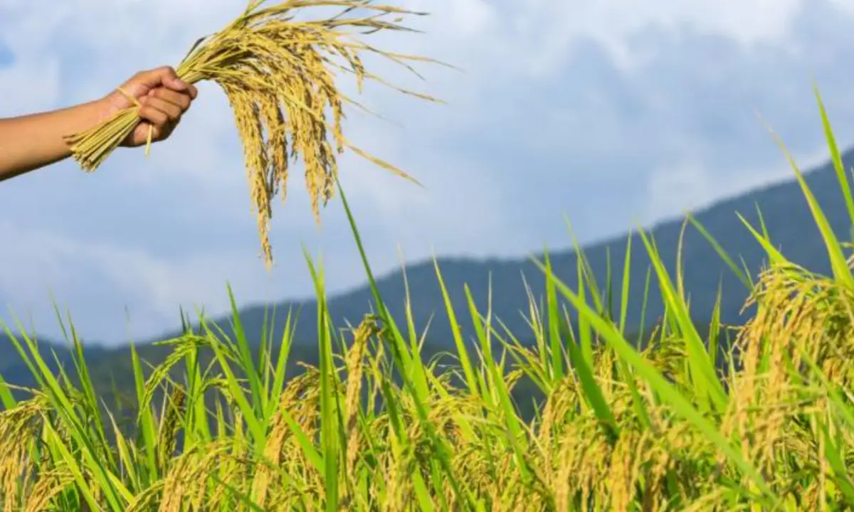 WBPSC Food SI Recruitment 2021