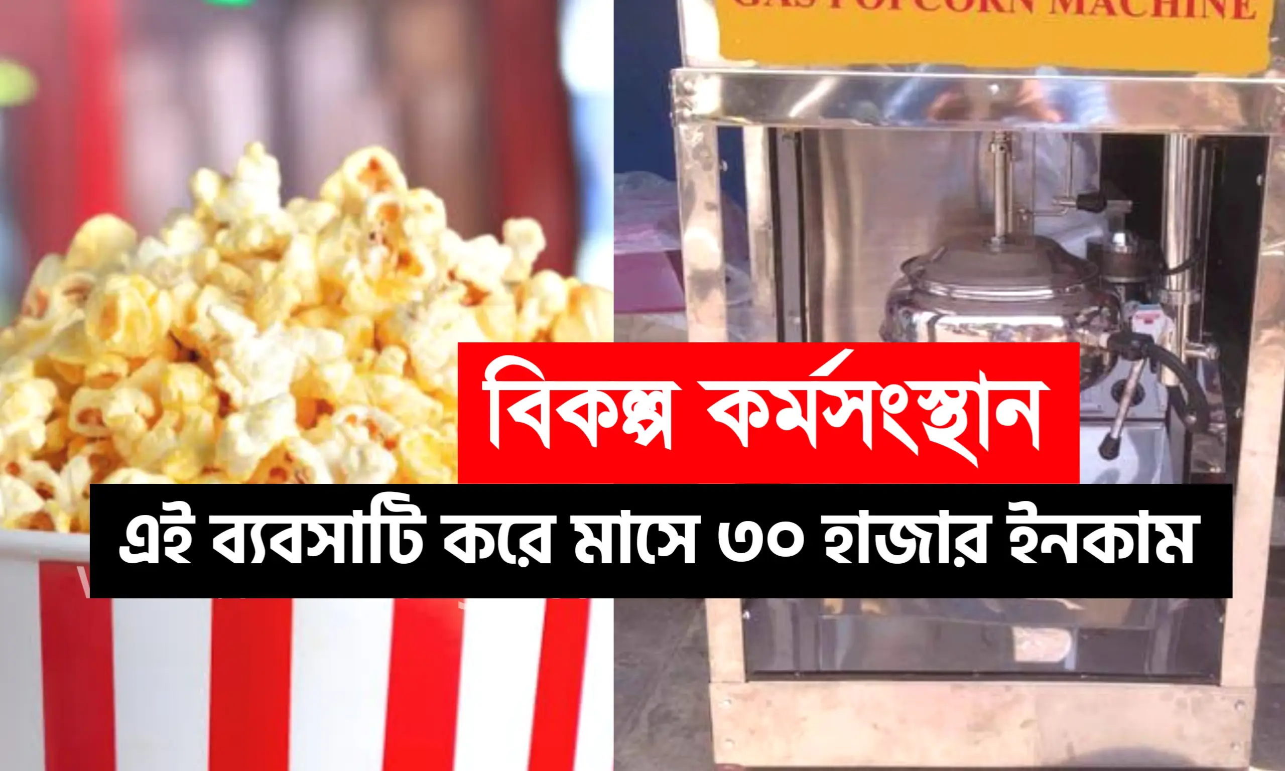 এই ব্যবসা করে মাসে ৩০ হাজার টাকা রোজগার করুন