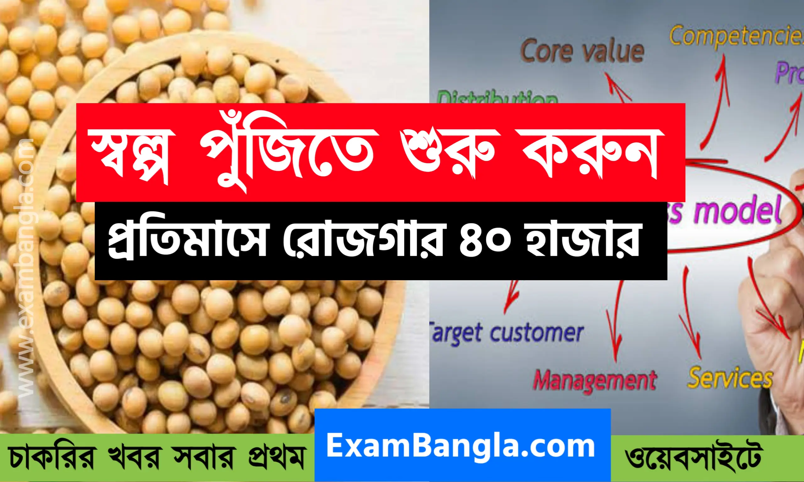 স্বল্প পুঁজিতে শুরু করুন এই ব্যবসা