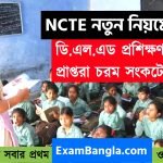 NCTE -এর নয়া নিয়মে চরম সংকটে ডি.এল.এড প্রশিক্ষণ প্রাপ্তরা