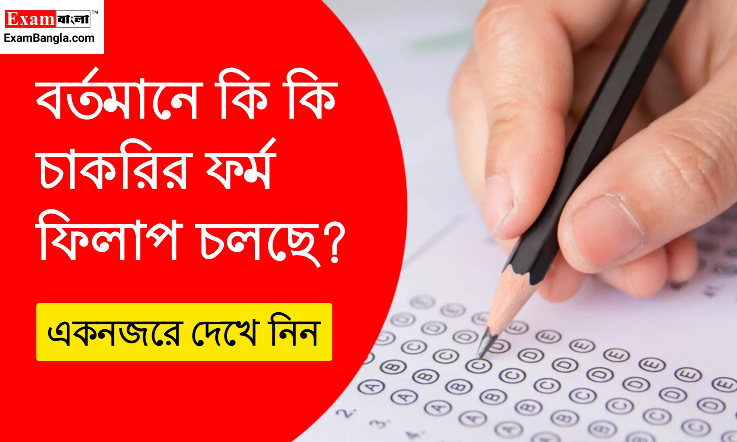 বর্তমানে কি কি চাকরির ফর্ম ফিলাপ চলছে 2024