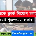 ৬ হাজার শূন্যপদে ব্যাংকে ক্লার্ক নিয়োগ