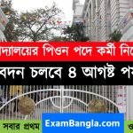 রাজ্যের বিশ্ববিদ্যালয়ে পিওন পদে নিয়োগ