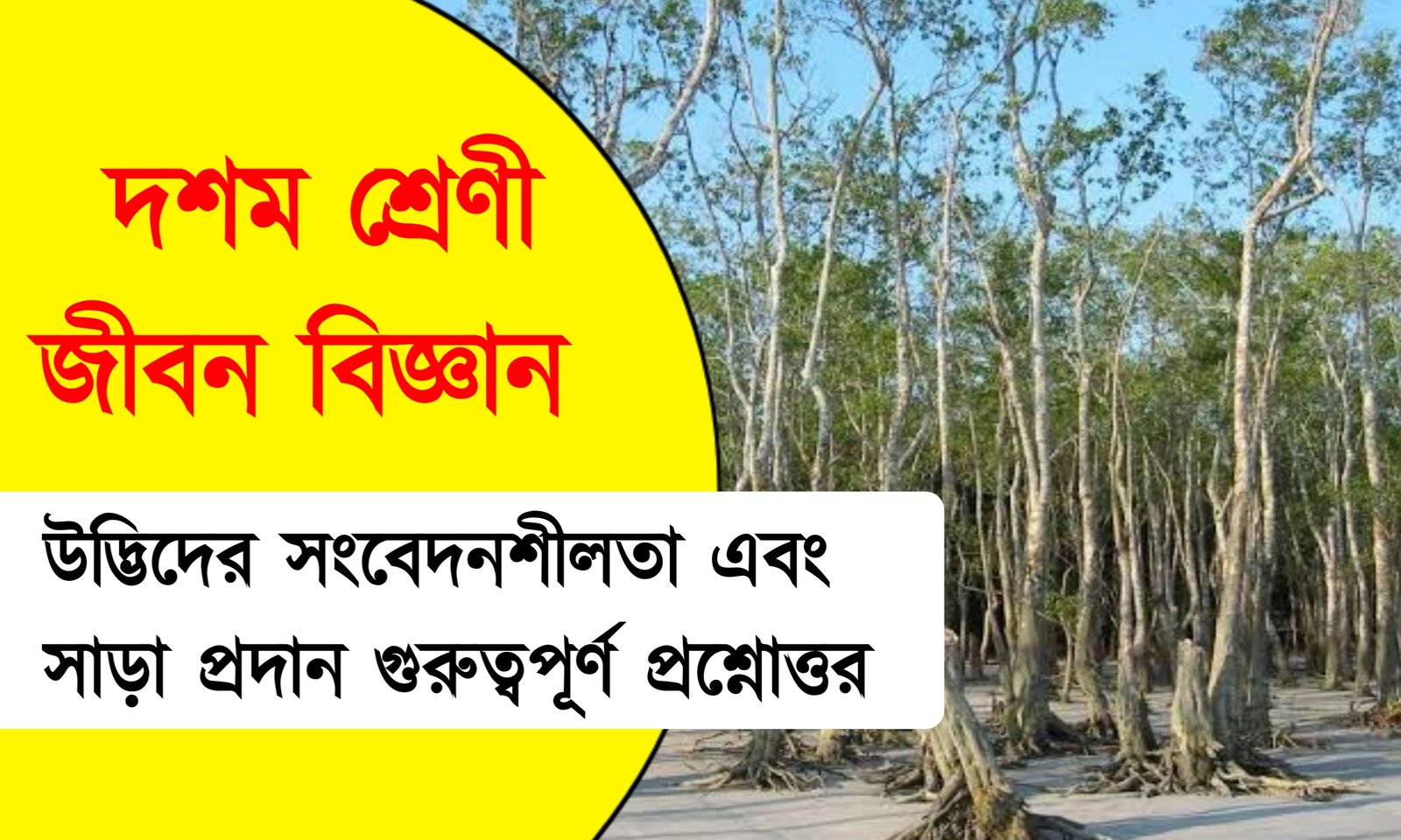 দশম শ্রেণী জীবন বিজ্ঞান প্রথম অধ্যায়