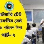 Primary TET Practice Set