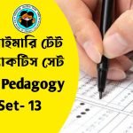 প্রাইমারি টেট শিশুবিকাশ ও পেডাগজি প্র্যাকটিস সেট- ১৩