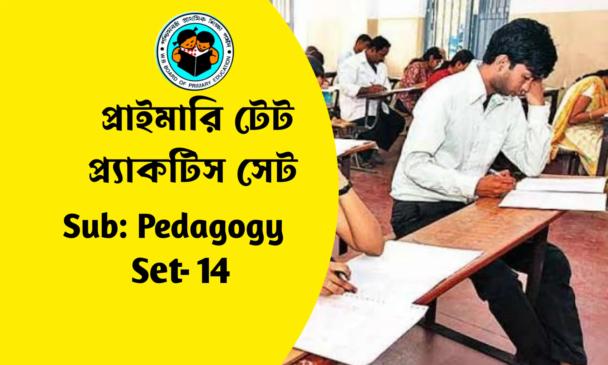 প্রাইমারি টেট শিশুবিকাশ ও পেডাগজি প্র্যাকটিস সেট- ১৪