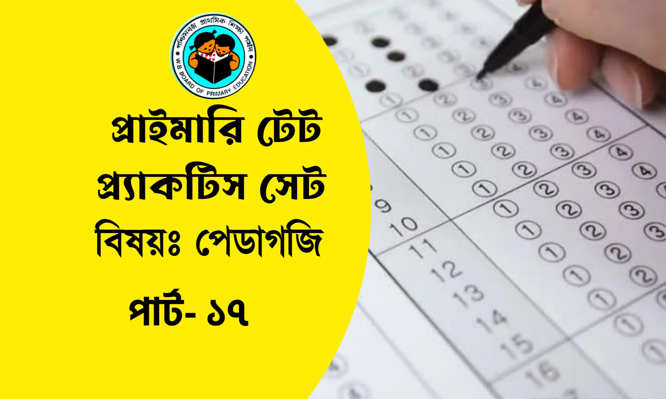 প্রাইমারি টেট শিশুবিকাশ ও পেডাগজি প্র্যাকটিস সেট- ১৭