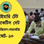 Primary TET EVS Pedagogy Practice Set- 10