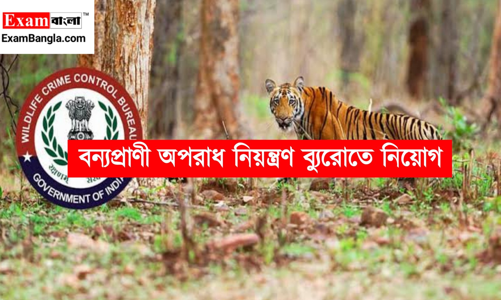 বন্যপ্রাণী অপরাধ নিয়ন্ত্রণ ব্যুরোতে নিয়োগ