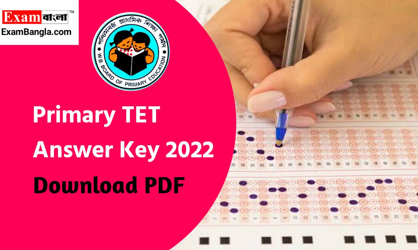 Primary TET Answer Key