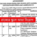 রাজ্যের স্কুলে পঞ্চম শ্রেণী পাশে আয়া নিয়োগ