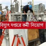 বিদ্যুৎ দপ্তরে