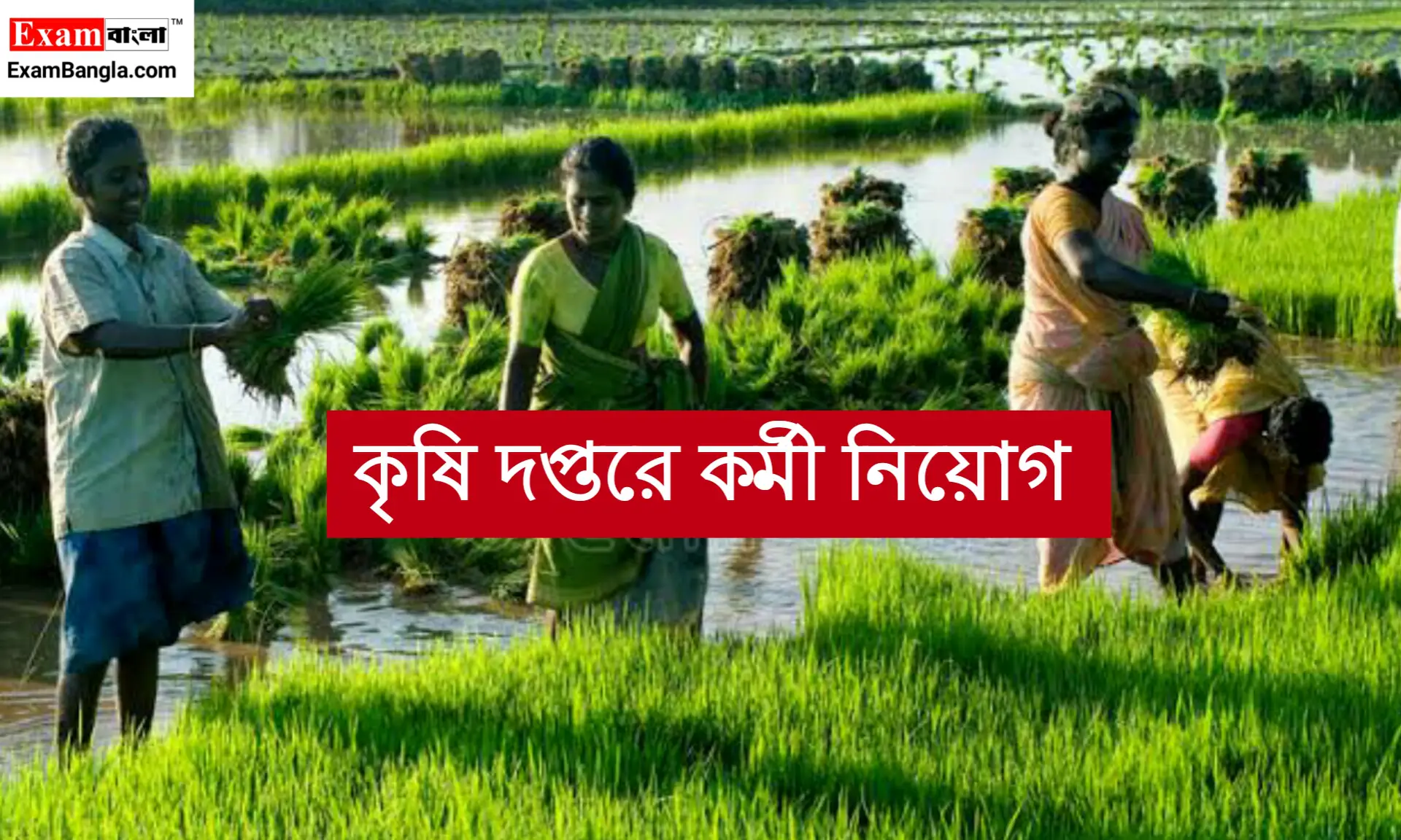 উচ্চমাধ্যমিক পাশে কর্মী নিয়োগ