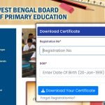 Primary TET Certificate