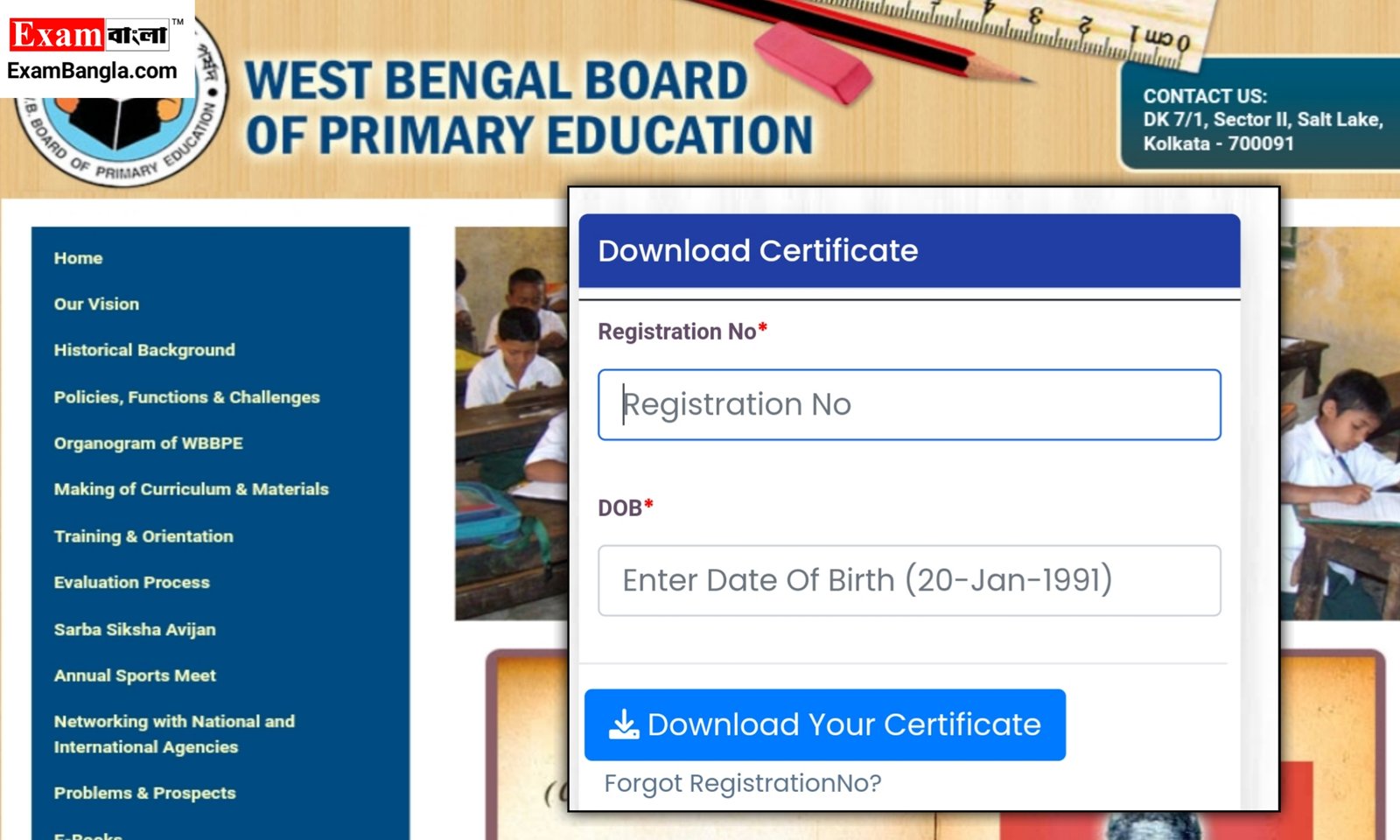 Primary TET Certificate