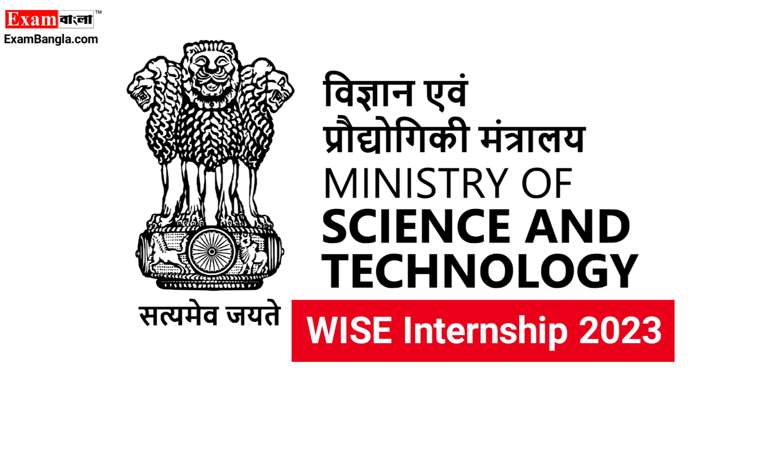 WISE Internship 2023 Scholarship