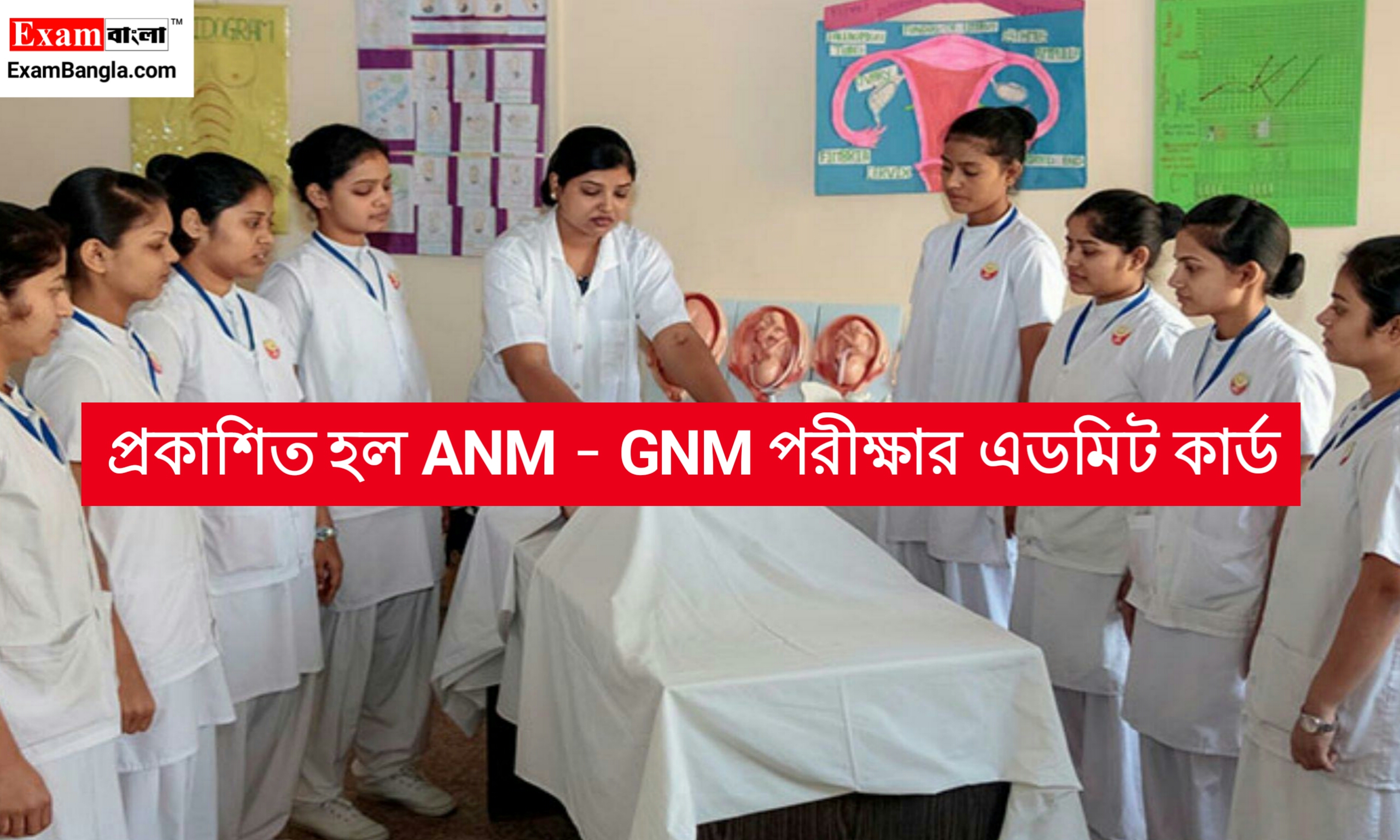 ANM GNM Admit Card Download