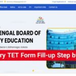 Primary TET 2023