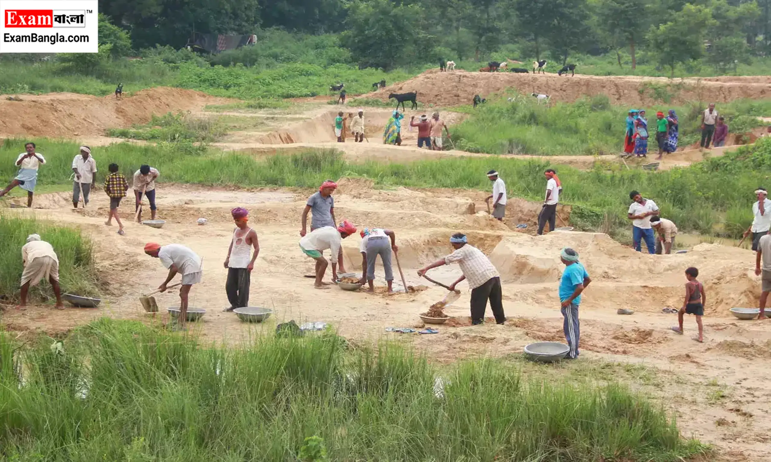 MGNREGA Wage New Rate 2024