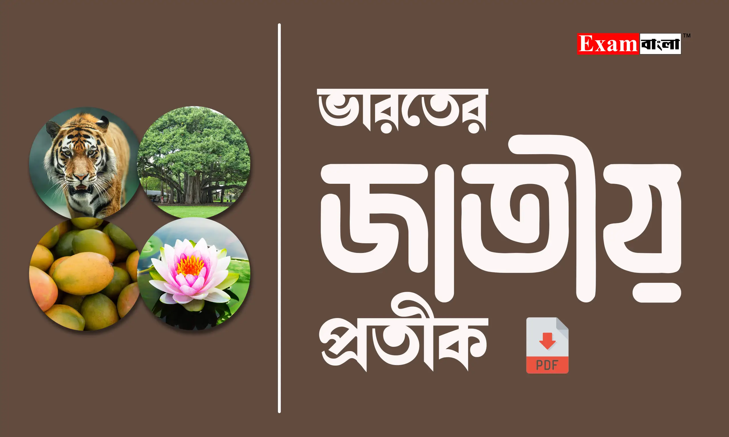 ভারতের জাতীয় প্রতীক