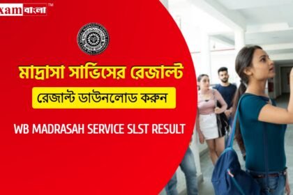 মাদ্রাসা সার্ভিস কমিশনের নিয়োগ পরীক্ষার রেজাল্ট প্রকাশিত হলো