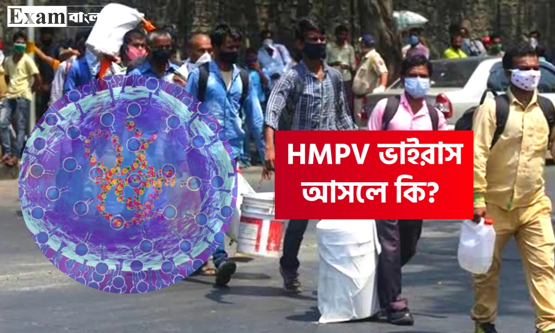 HMPV ভাইরাস
