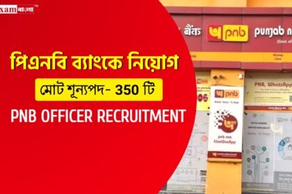 পাঞ্জাব ন্যাশনাল ব্যাংকে অফিসার নিয়োগ
