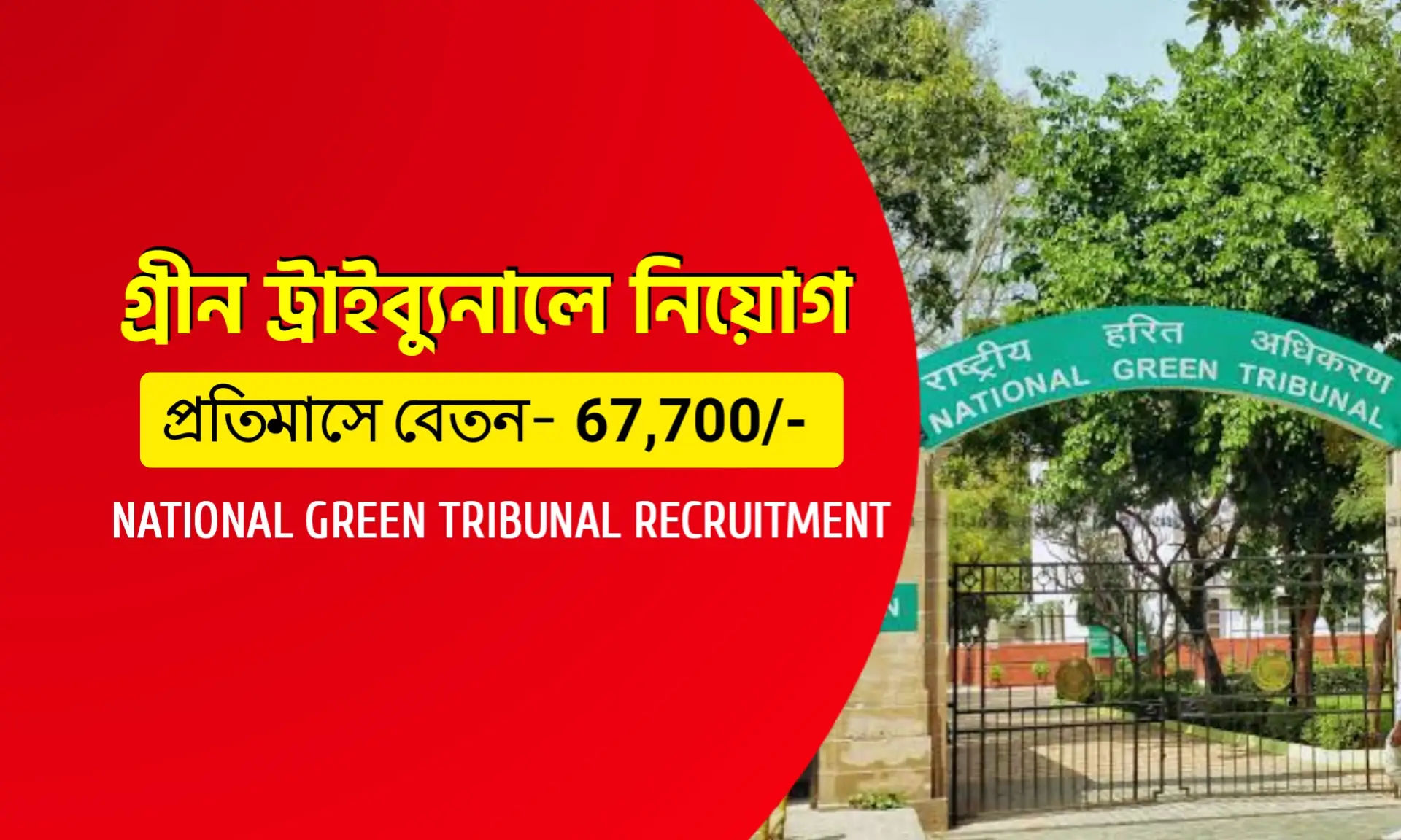 মোটা বেতনের চাকরি দিচ্ছে ন্যাশনাল গ্রিন ট্রাইবুনাল