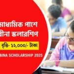 Biswabina Scholarship