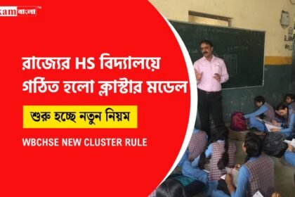উচ্চমাধ্যমিকে ক্লাস্টার মডেল