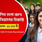 IBPS CRP Clerk Recruitment