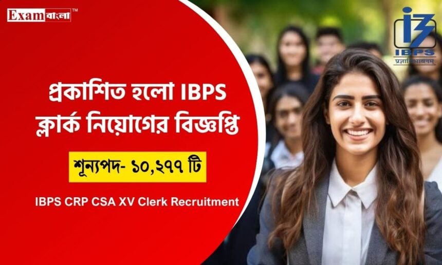 IBPS CRP Clerk Recruitment