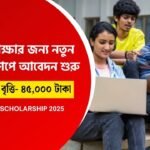 OASIS Scholarship