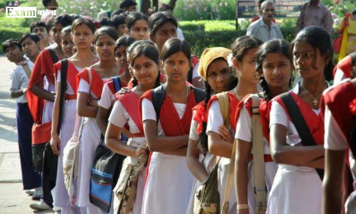 School Attendance