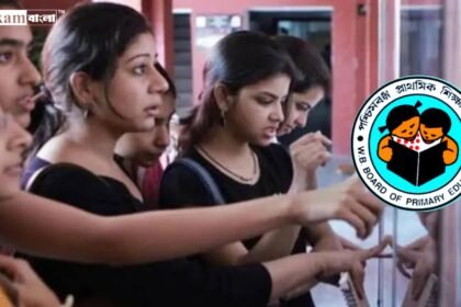 Primary TET Result