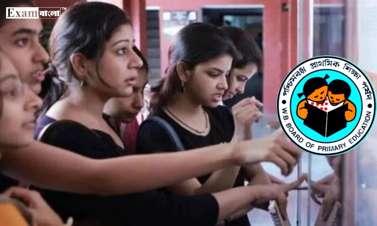 Primary TET Result