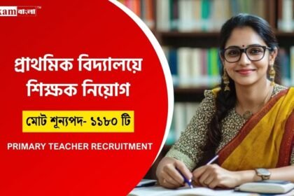 Primary Teacher Recruitment