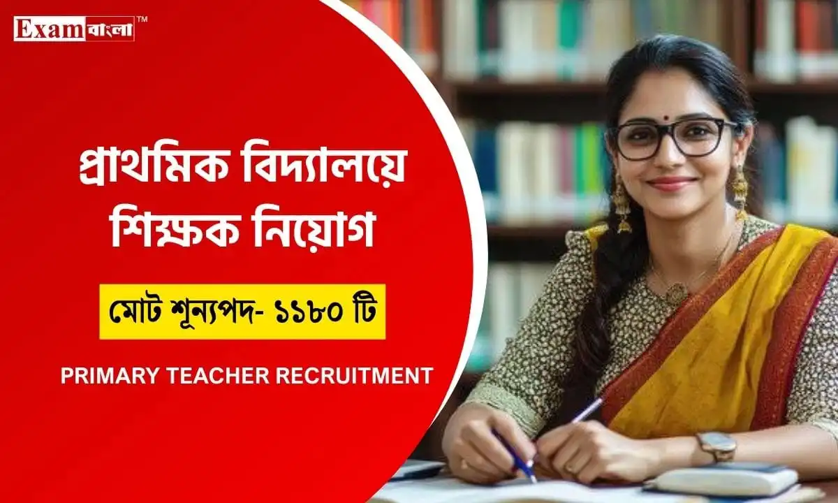 Primary Teacher Recruitment
