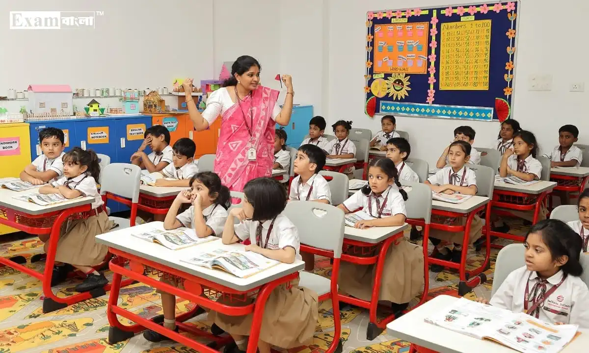 Primary Education Syllabus