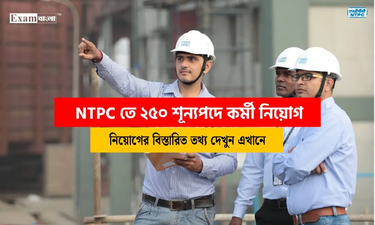 NTPC তে ২৫০ শূন্যপদে কর্মী নিয়োগ